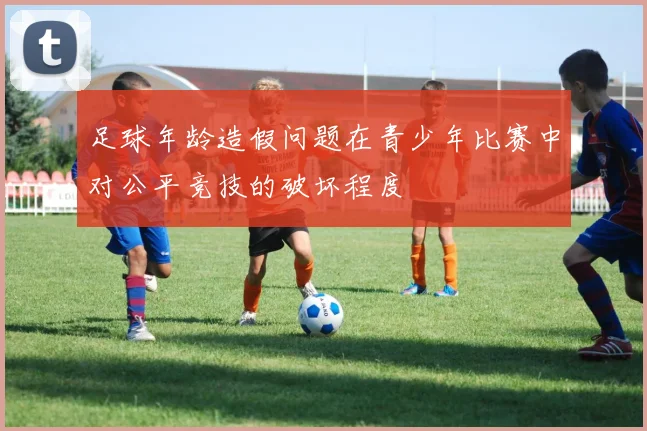 足球年龄造假问题在青少年比赛中对公平竞技的破坏程度