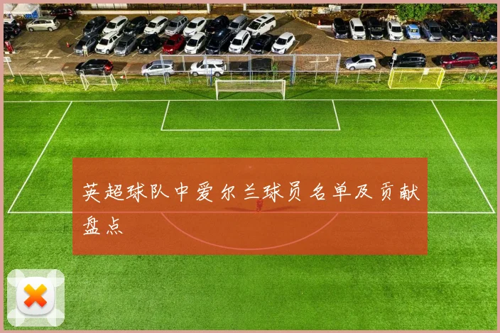 英超球队中爱尔兰球员名单及贡献盘点