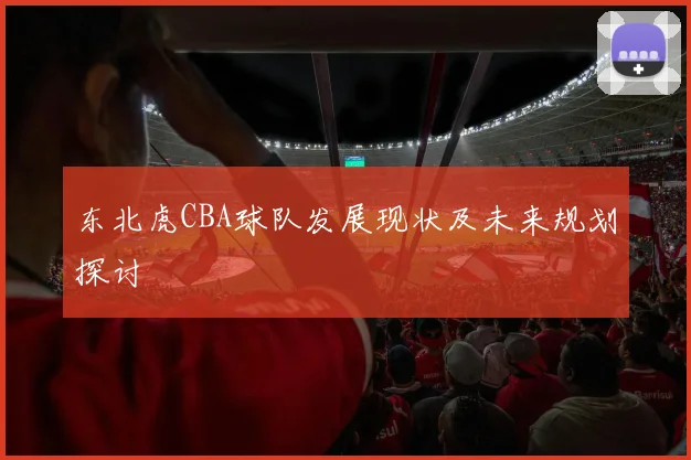 东北虎CBA球队发展现状及未来规划探讨