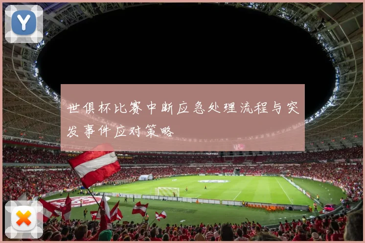 世俱杯比赛中断应急处理流程与突发事件应对策略