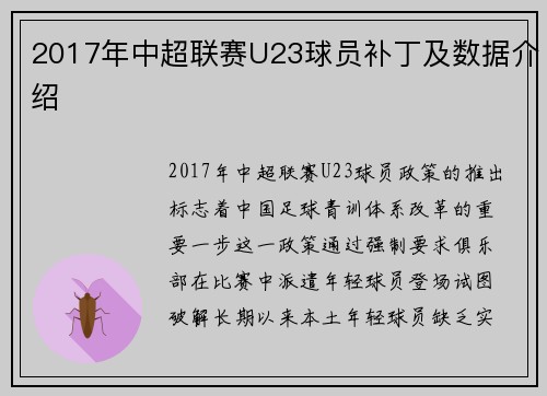 2017年中超联赛U23球员补丁及数据介绍